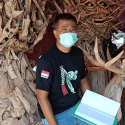 Testimoni alumni TOEFL Warrior